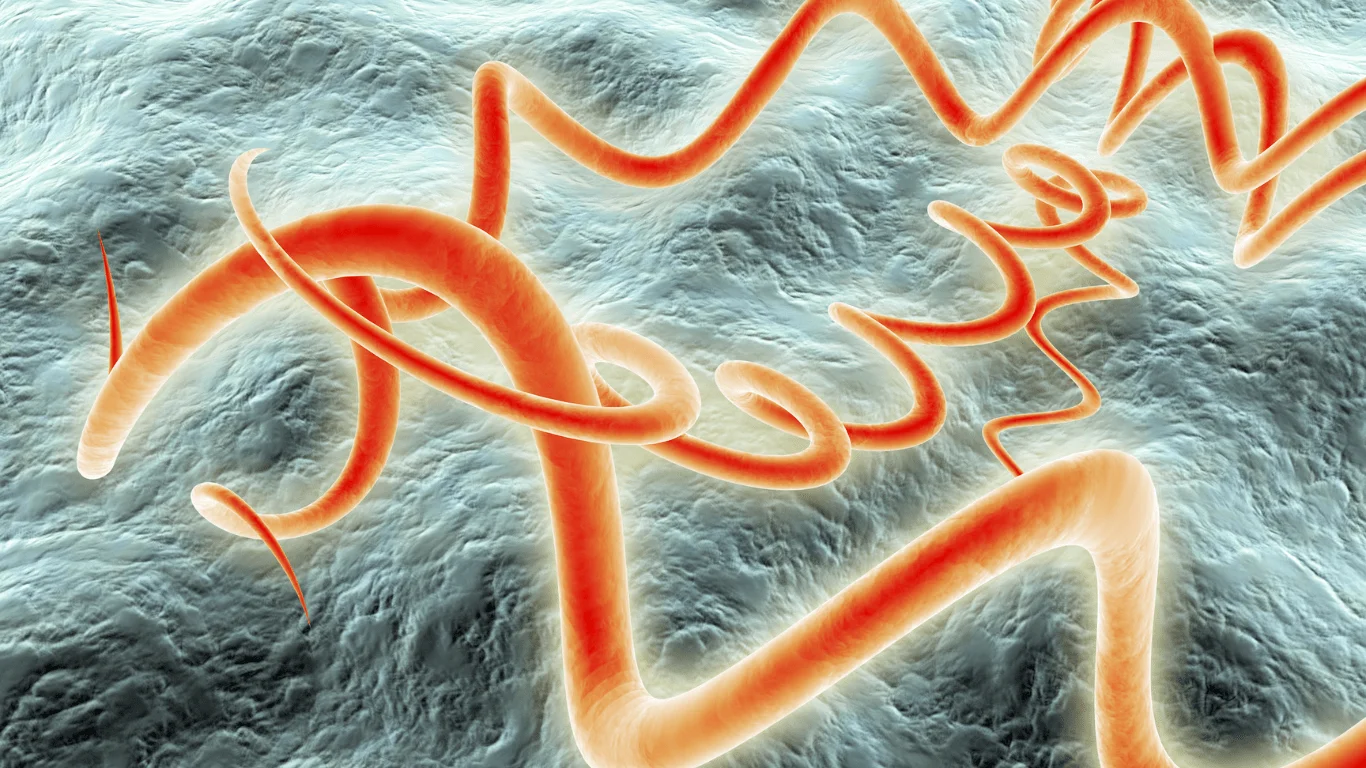 STI Treatment Descriptions | E-Health Network Virtual Care